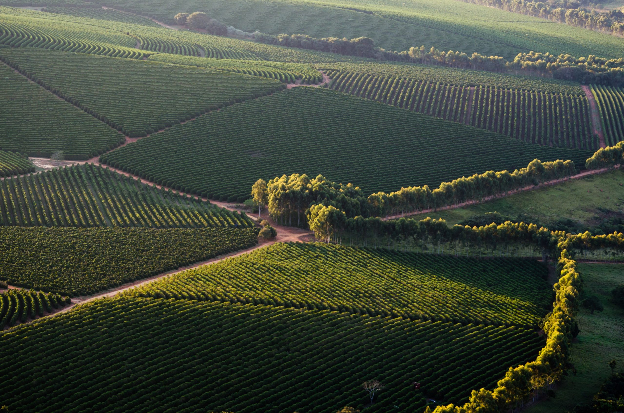 bello-scatto-aereo-di-un-campo-verde-di-giorno-2