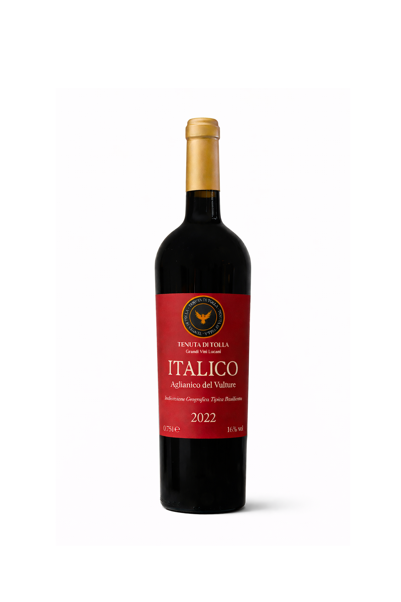 Di-Tolla-web-jpg-5